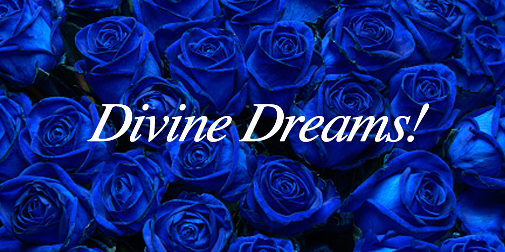 blueroses2